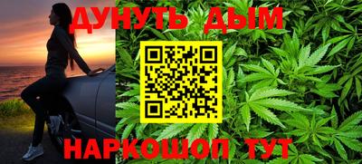 сатива Рязань