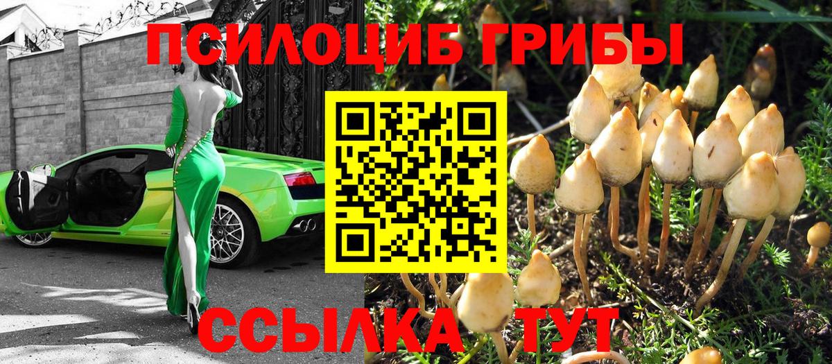 Галлюциногенные грибы мицелий Петропавловск-Камчатский
