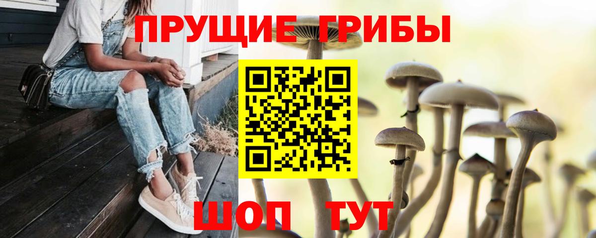 наркотики  Галлюциногенные грибы GOLDEN TEACHER  Петропавловск-Камчатский  Вход с VPN  Галлюциногенные грибы ЛСД 
