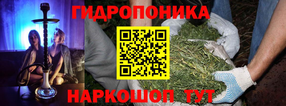 Бошки марихуана семена Петропавловск-Камчатский